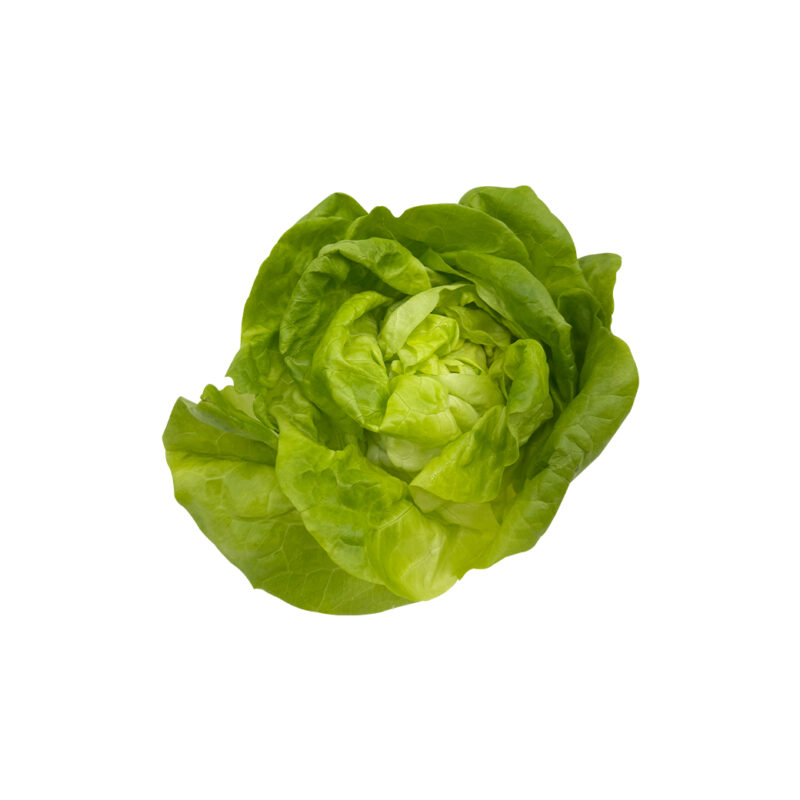綠奶油