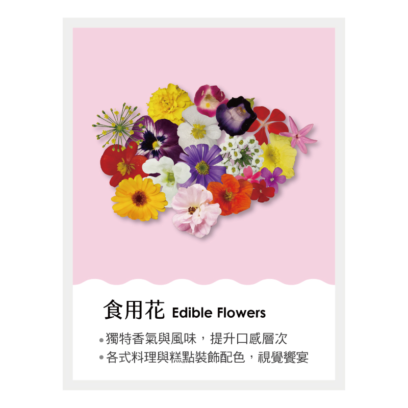 食用花 裝飾花 | 挑食鮮物國際有限公司